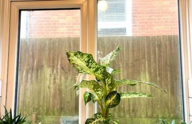 Cosy Ground Floor Apartment - Foto 49