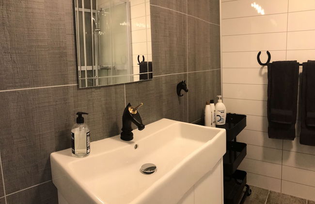 Sólvangur Farm, Icelandic Horse Center - Photo 8