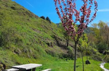 Zaldierna al sol, aldea del siglo XVIII Ezcaray - Photo 35