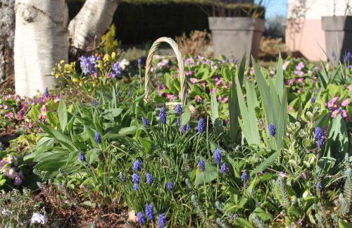 Les Chanterelles La souris des champs - Foto 42