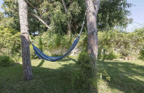 Las Camelias - Foto 40