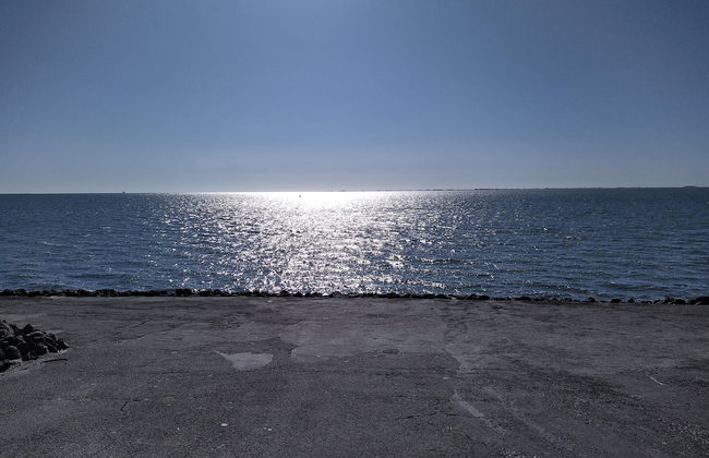 Penthouse am Nordstrand auf dem Deich - Foto 34