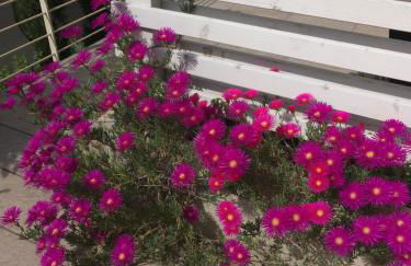 Antonella Gardalake 2 - Foto 11