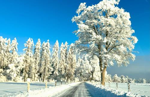 Atelier Seeshaupt - Foto 51