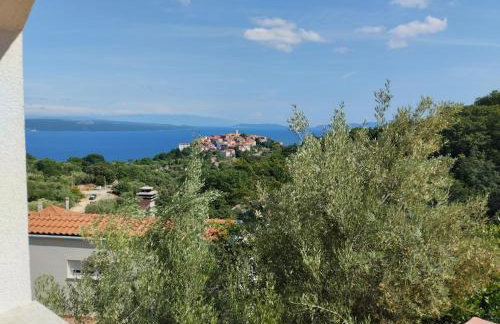 Apartments with parking space Beli - Cres - 22435 - Foto 24