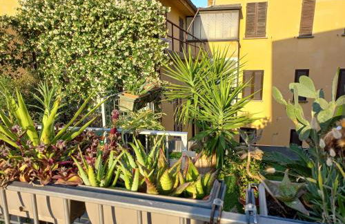 The Jasmine Terrace Retreat - Photo 51