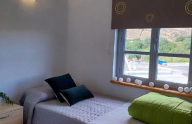 Ave Ibis eremita Vejer - Foto 23