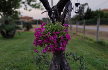 La casa di là. - Foto 8