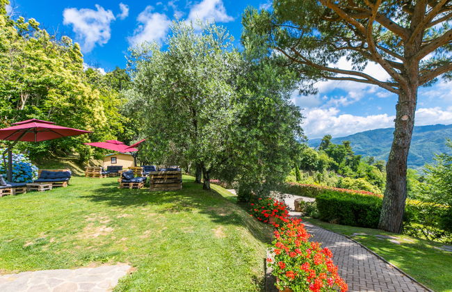 La Cupola: Giglio - Foto 47