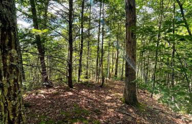 Tiny House, WIFI,Hot tub,Secluded - Foto 19