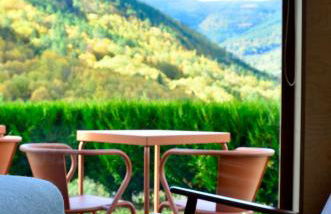 Solar da Castanha - Forest House - Foto 23