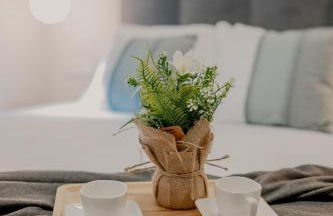 Centro Jardín - Foto 18