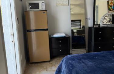 My Garden in Miami Florida - Photo 4