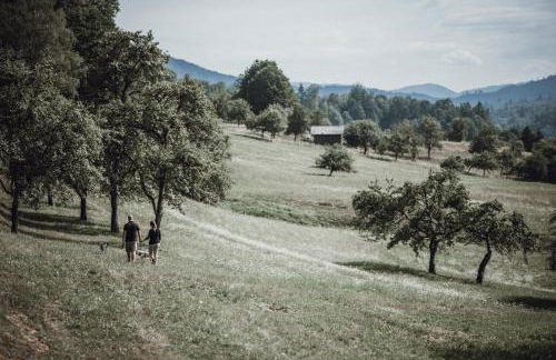 Pine Cone Loft on Baden-Baden's Panorama Trail - Foto 58