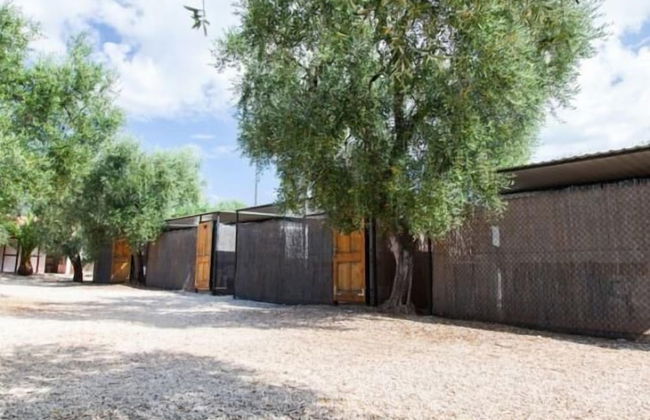 Villaggio Riccio - Photo 46