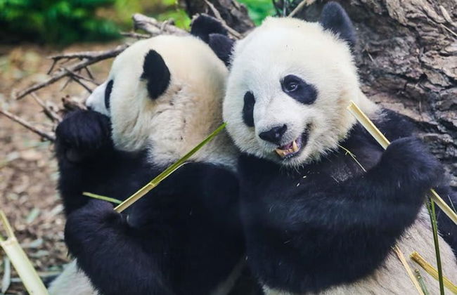 TOP 5 DT Riverside Walking Trails Free Parking - Foto 48