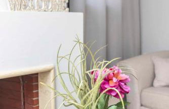 Ikia Apartment Private garden and parking - Photo 16