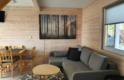 Ekosfera Piława Apartamenty z podgrzewanym basenem - Foto 36