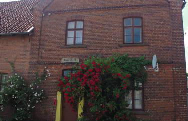 Biogut Evensen - Foto 23