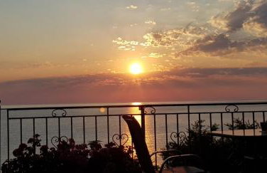 Ammos papanero - Foto 23