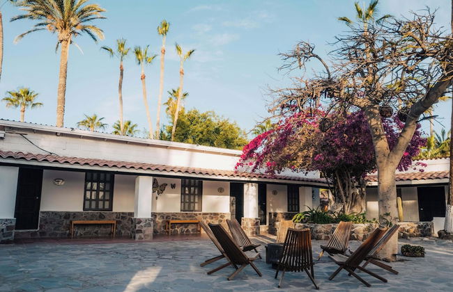 Hotel Serenidad - Foto 61