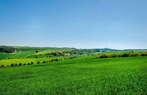 Ferienwohnung Lavendel Hofgeismar - Foto 29