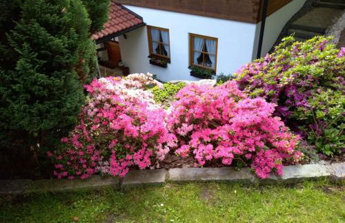 Landhaus am Bergfeld - Foto 22