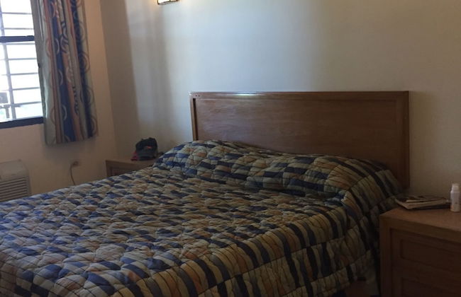 Palm Residence - Photo 3