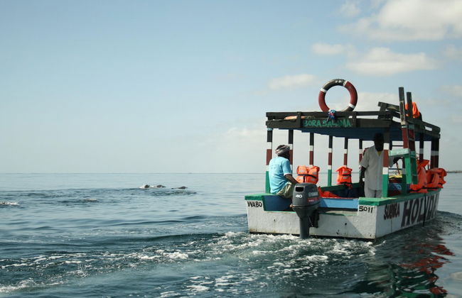 Rafiki Village - Foto 39