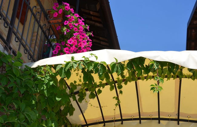 Agriturismo corte di Gerardo - Foto 38