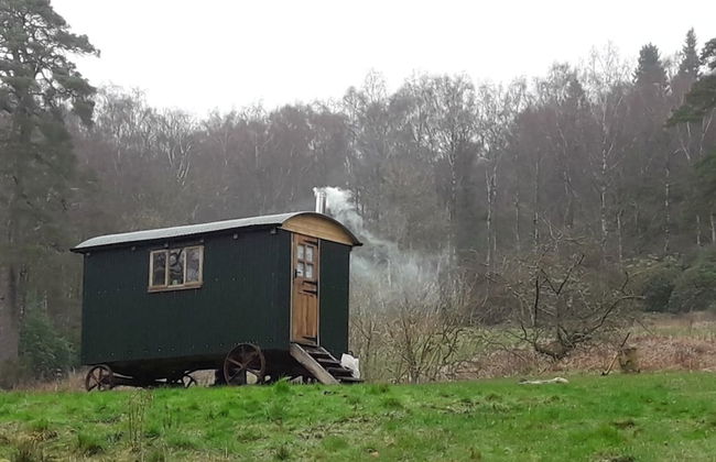 Cosy Woodland off Grid Shepherds Hut - Rowan - Foto 24