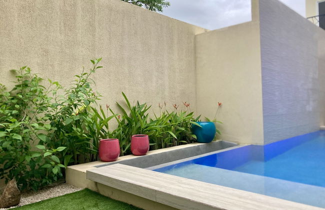 Pierre and Colors TAMARINDO Adult Only - Photo 80