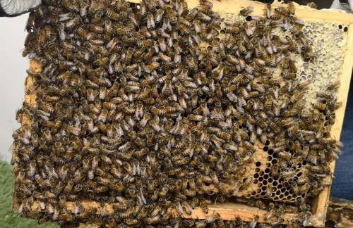 Maison Félice - Foto 25