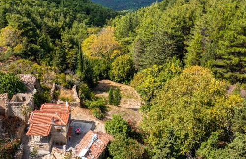 Kalliopi's Apartment - Photo 1