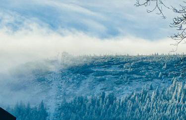 Królewna Śnieżka - Foto 25