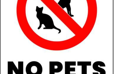 Little Cute Home - Foto 9