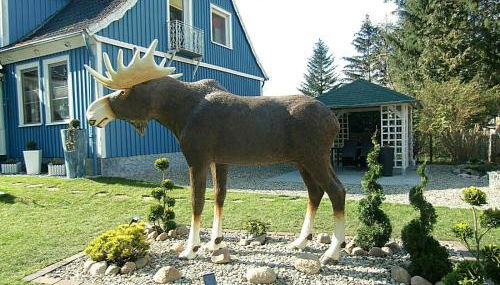 Ferienwohnung Heideschwedin - Foto 3, Garden, Garden view