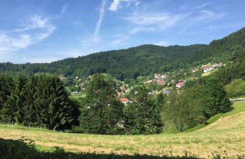 Top ausgestattete Wohnung in Traumlage mit grandioser Aussicht - Foto 19