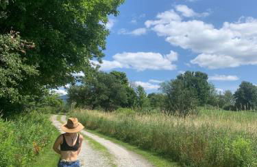 The Disco Den on Toad Road - Photo 27