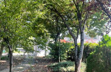 Casa de Lamaçais - Foto 72