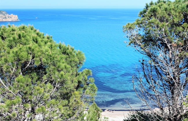 Babai Village - Abba Urci - Foto 71