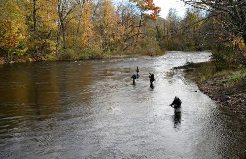Cozy Three-Bedroom Cabin Near The Salmon River in Altmar, New York - Foto 20