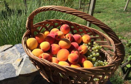 Mountain Villa Carin - Jacuzzi - Panoramic View - 4 Bedrooms - Free Private Parking - Near Zagreb - Photo 39