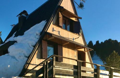 Chalet Paoletta - Alpe Cermis - Foto 1