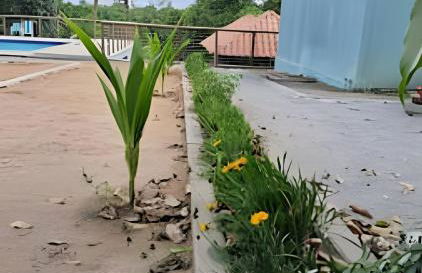 Bosque dos Camarás - Flats Residence - Foto 32