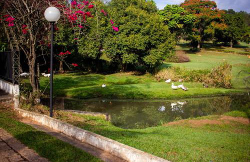 Polo Hotel Fazenda - Foto 70