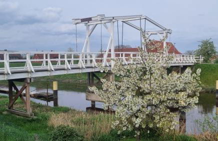 Lühe Loft - direkt am Wasser im Alten Land - Photo 8