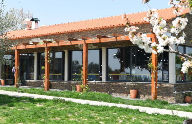 Quinta da Avessada Winery Tour - Foto 6