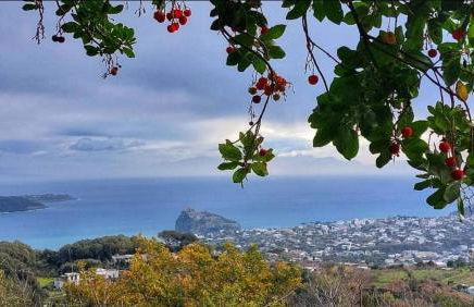 La Casetta nel Bosco - Foto 5