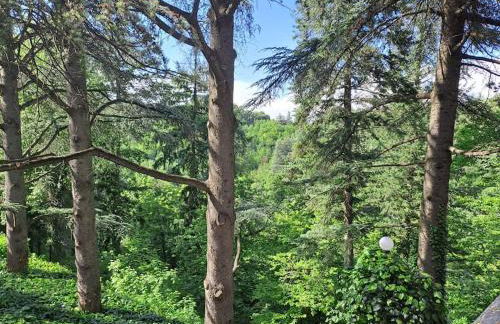 LA BARCA NEL FRUTTETO Natura e relax in collina - Foto 47